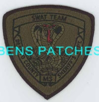 MISSISSIPPI,A,DE SOTO COUNTY SHERIFF SWAT SUBDUED 1